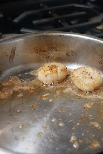 Scallop Dish