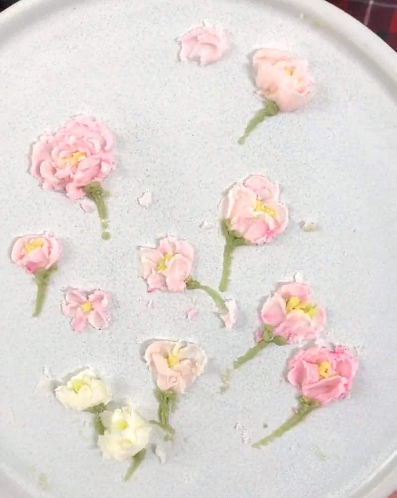 painted cake