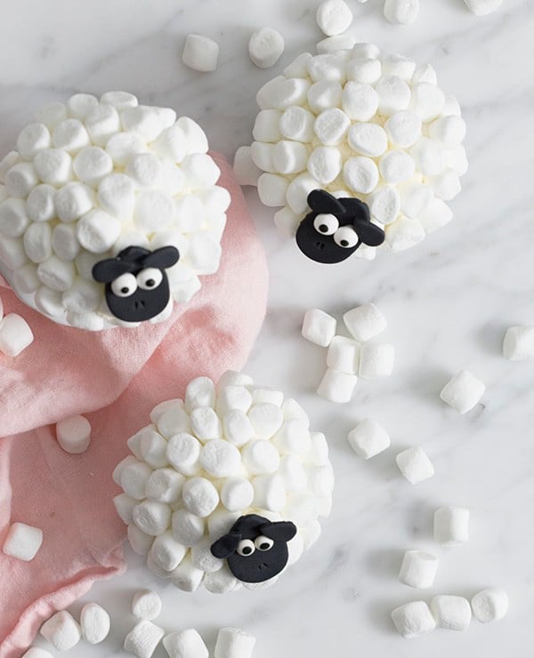 A top down photo of a group of cute sheep cupcakes on a white marble surface