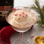 A Baileys affogato with peppermint pieces.