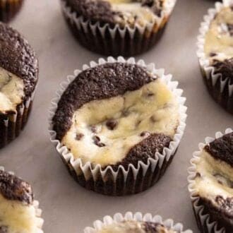 Multiple black bottom cupcakes on a marble surface.