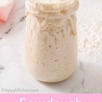 Pinterest graphic of a jar of bubbly overflowing sourdough starter.
