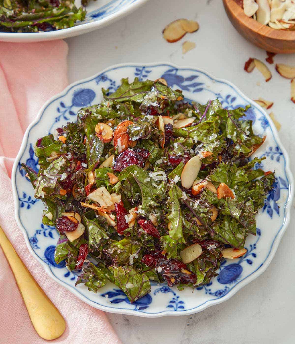 Overhead view of a plate of kale salad with almonds, cranberries, and parmesan cheese.