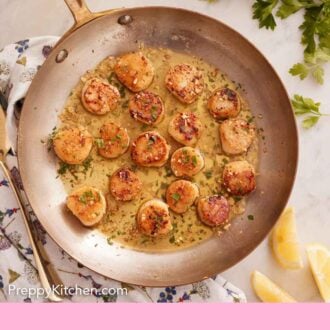 Pinterest graphic of an overhead view of a skillet with seared scallops surrounded by garnishes.