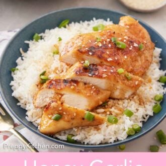 Pinterest graphic of a bowl of rice with sliced honey garlic chicken on top with green onion garnish.