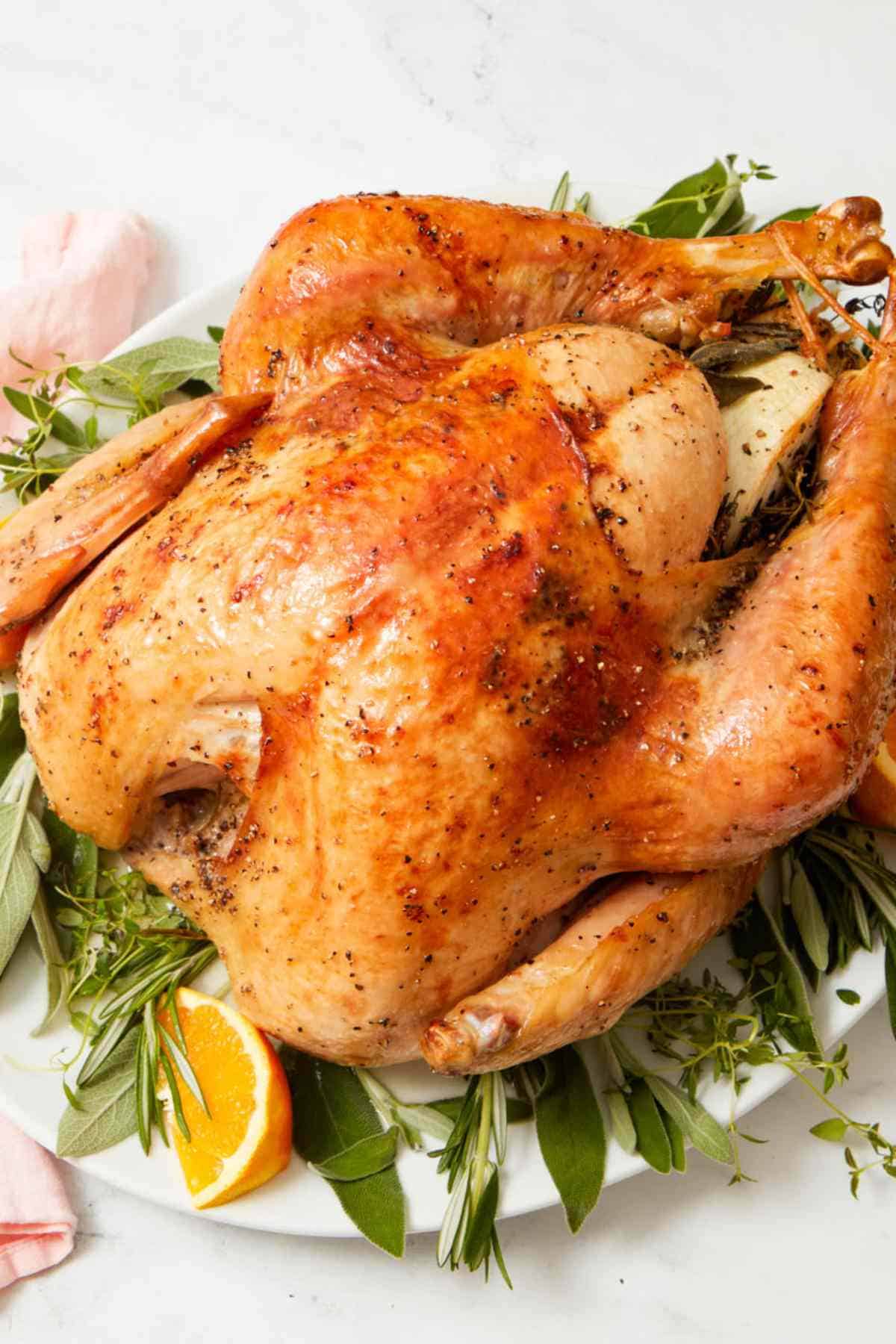 Image showing the result of a how to cook a turkey recipe.